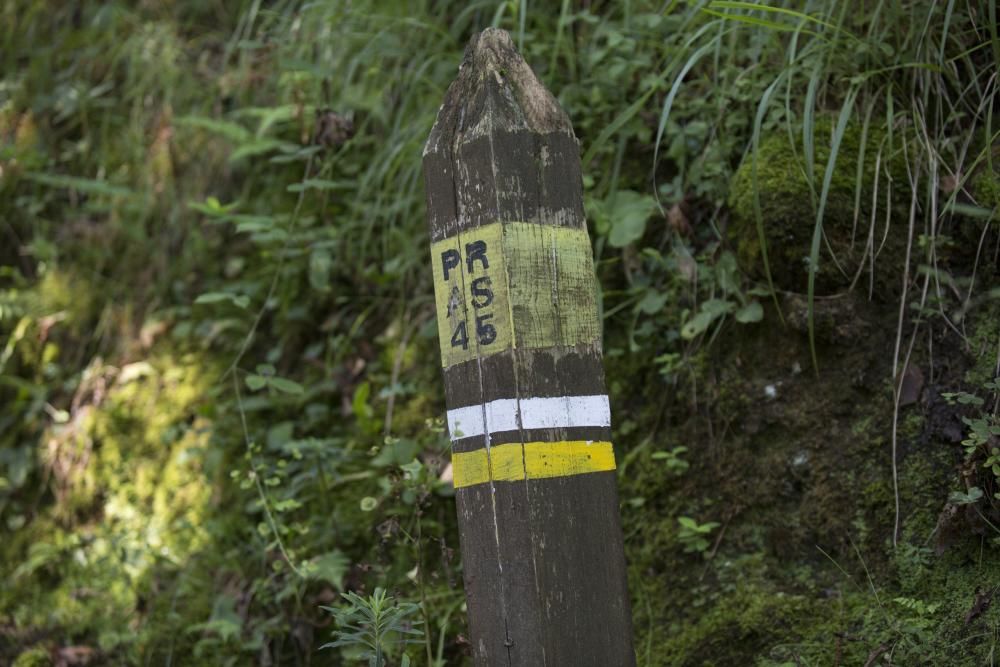 Rutas por Asturias: foces del río Pendón