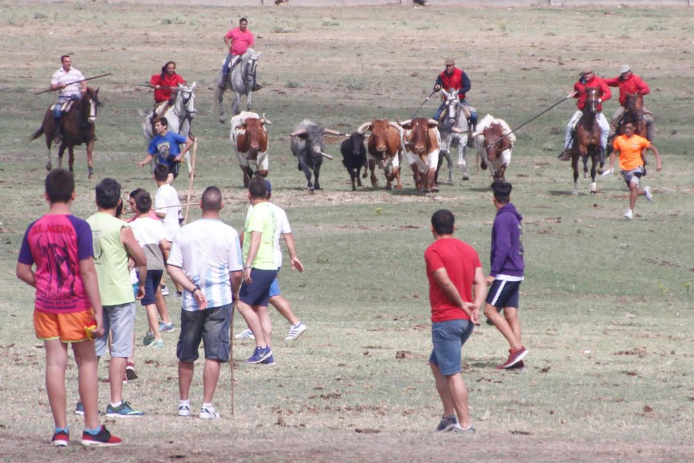 Espante infantil de Fuentesaúco