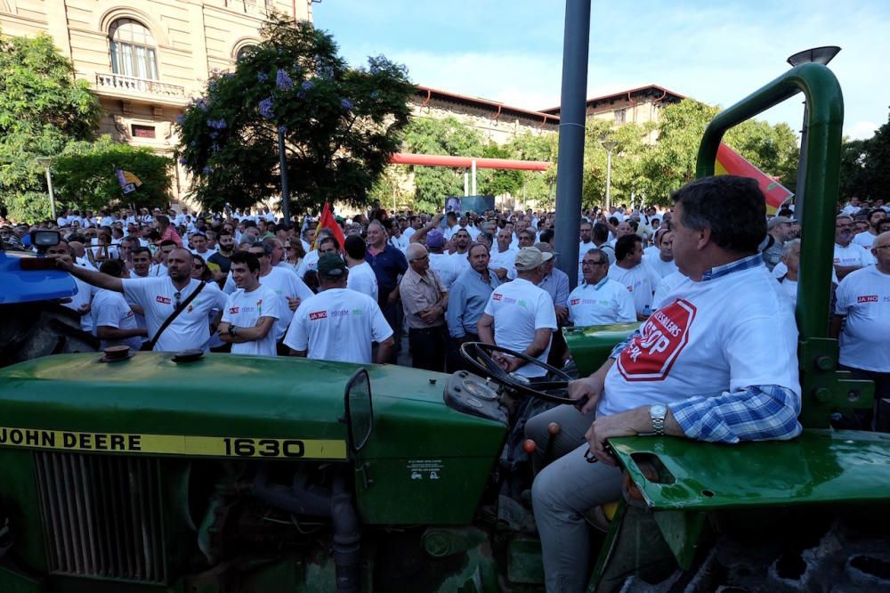 Miles de personas se manifiestan en Palma en defensa del mundo rural y la caza