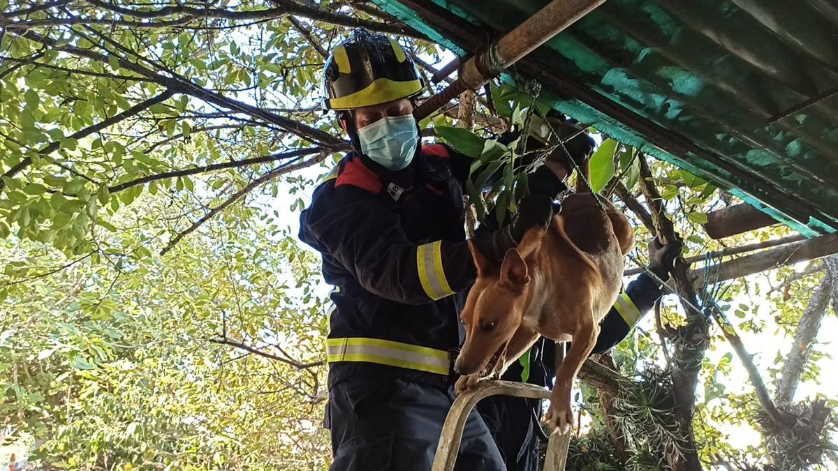 Rescate del perro en el techo de un garaje en Tacoronte.