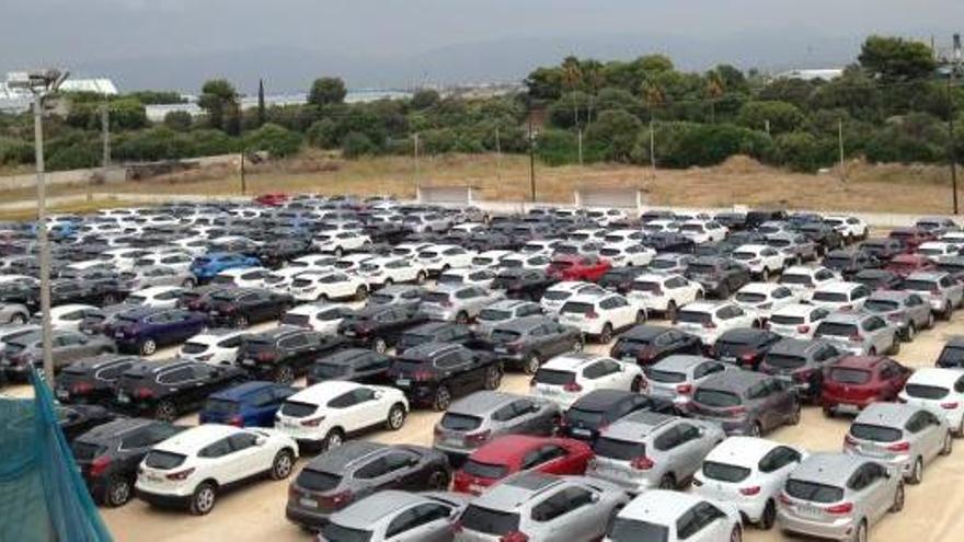 Illegaler Parkplatz für Mietwagen in Can Pastilla wird geräumt