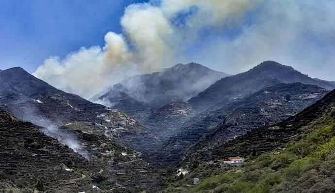 GÁLDAR. Incendio en La Cumbre. Juncalillo afectado por el incendio originado en Artenara.  | 11/08/2019 | Fotógrafo: José Pérez Curbelo  | 11/08/2019 | Fotógrafo: José Pérez Curbelo