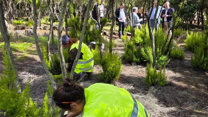 Un momento de los trabajos durante el desarrollo del proyecto. | E. D.