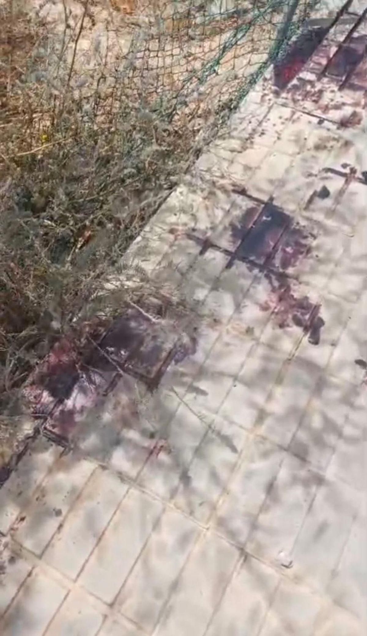 Restos de sangre de la víctima