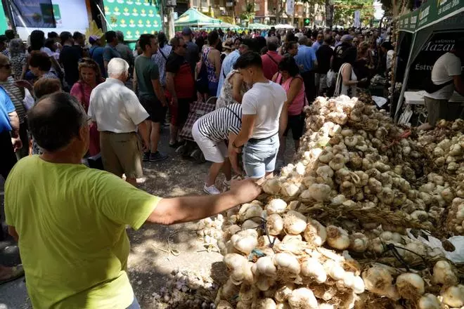 Zamora se entrega a la Feria del Ajo: ¿Ya has ido a ver ristras?