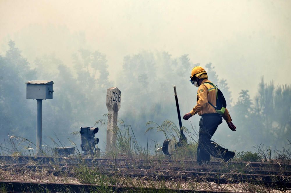 Incendi forestal a Llançà