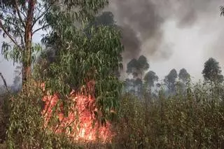La Pata del Caballo, el paraíso natural amenazado por el incendio de Niebla: "Es revivir una pesadilla 22 años después"
