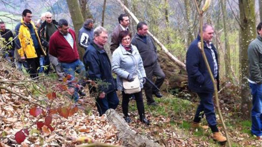 Propietarios de montes, ayer, observando castaños enfermos en Vallinas.