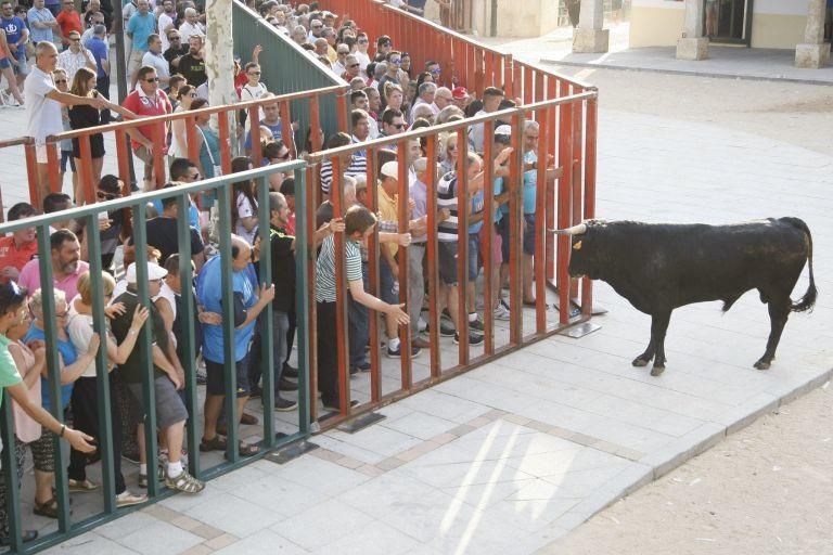 Encierro urbano en Fuentesaúco.