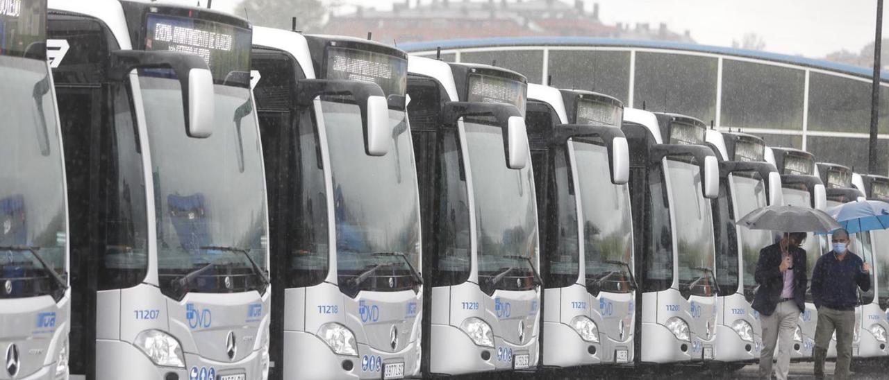 La última remesa de autobuses urbanos “cero emisiones” comprados por el Ayuntamiento. | Luisma Murias