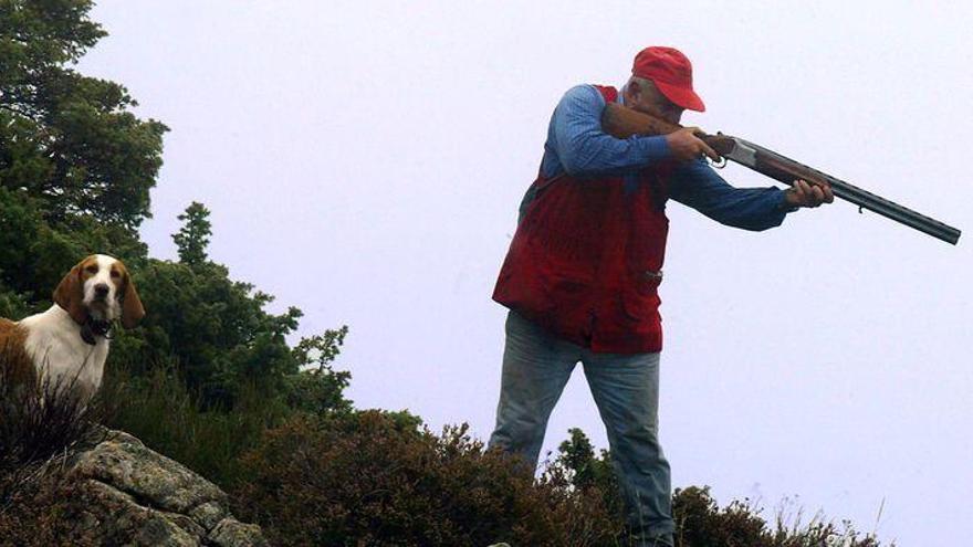 Posible sanción un cazador furtivo que abatió 38 palomas torcaces en Burriana