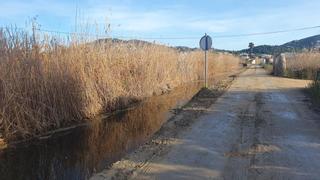 Finaliza la limpieza en ses Feixes des Prat de ses Monges y el torrrente de Jesús en Ibiza