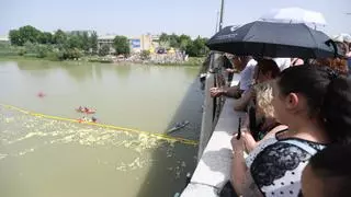Miles de patitos de goma surcan las aguas del Ebro a su paso por Zaragoza: este es el motivo