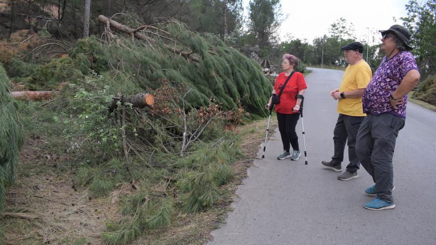 Malestar a l&#039;Ametlla de Merola per una tala d&#039;arbres que qualifiquen d&#039;indiscriminada