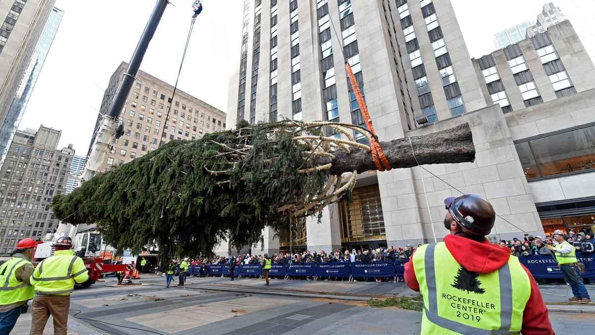 Llega el famoso árbol de Navidad al Rockefeller Center de Nueva York.