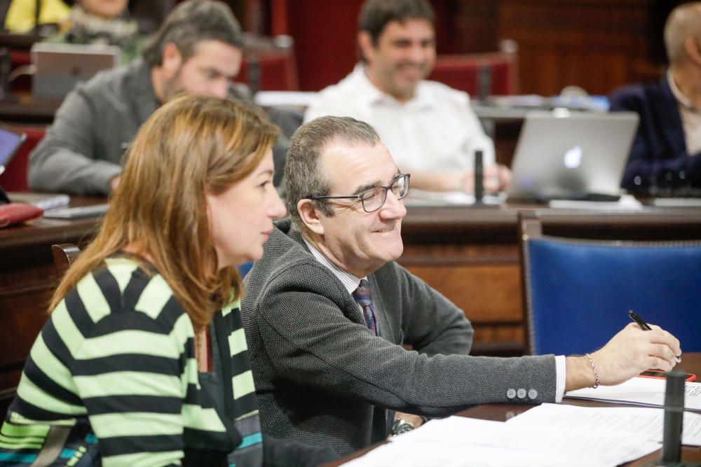 Pleno del Parlament del día 11 de febrero de 2019