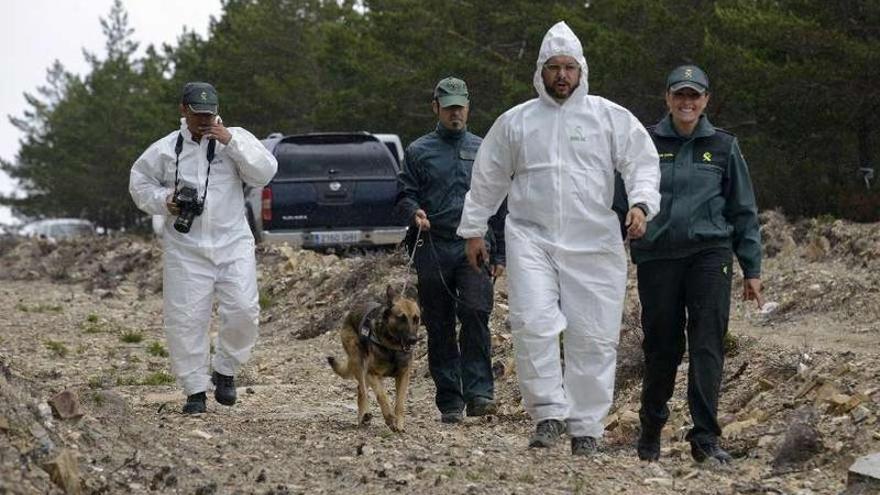 Rastreo del terreno con &quot;Pipo&quot;, el pastor belga que encontró los restos.