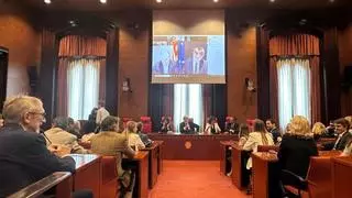 El TC anulará el voto de Puigdemont y Puig si lo emiten telemáticamente