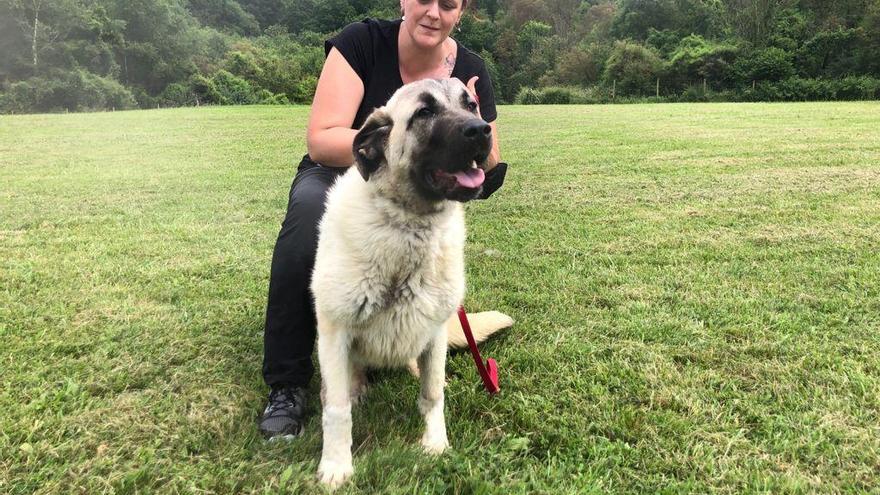 Voluntarios con los perros del albergue canino de Langreo