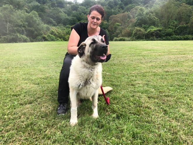 Voluntarios con los perros del albergue canino de Langreo