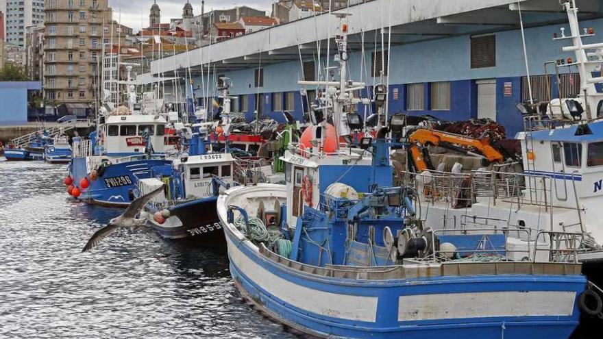 Cerqueros amarrados en un puerto gallego tras el cierre del jurel de 2015.