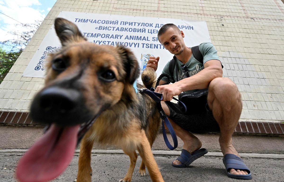 El voluntario Dmytro Popov, un botánico de 28 años, sujeta a uno de los perros del refugio después de darle un paseo por un parque cercano, en Kiev.