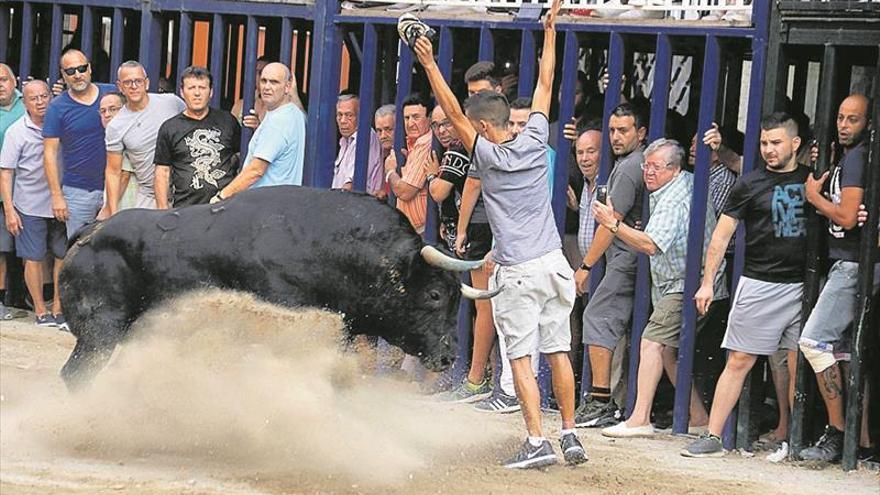 Las fiestas alcanzan un nuevo récord con 21 toros cerriles