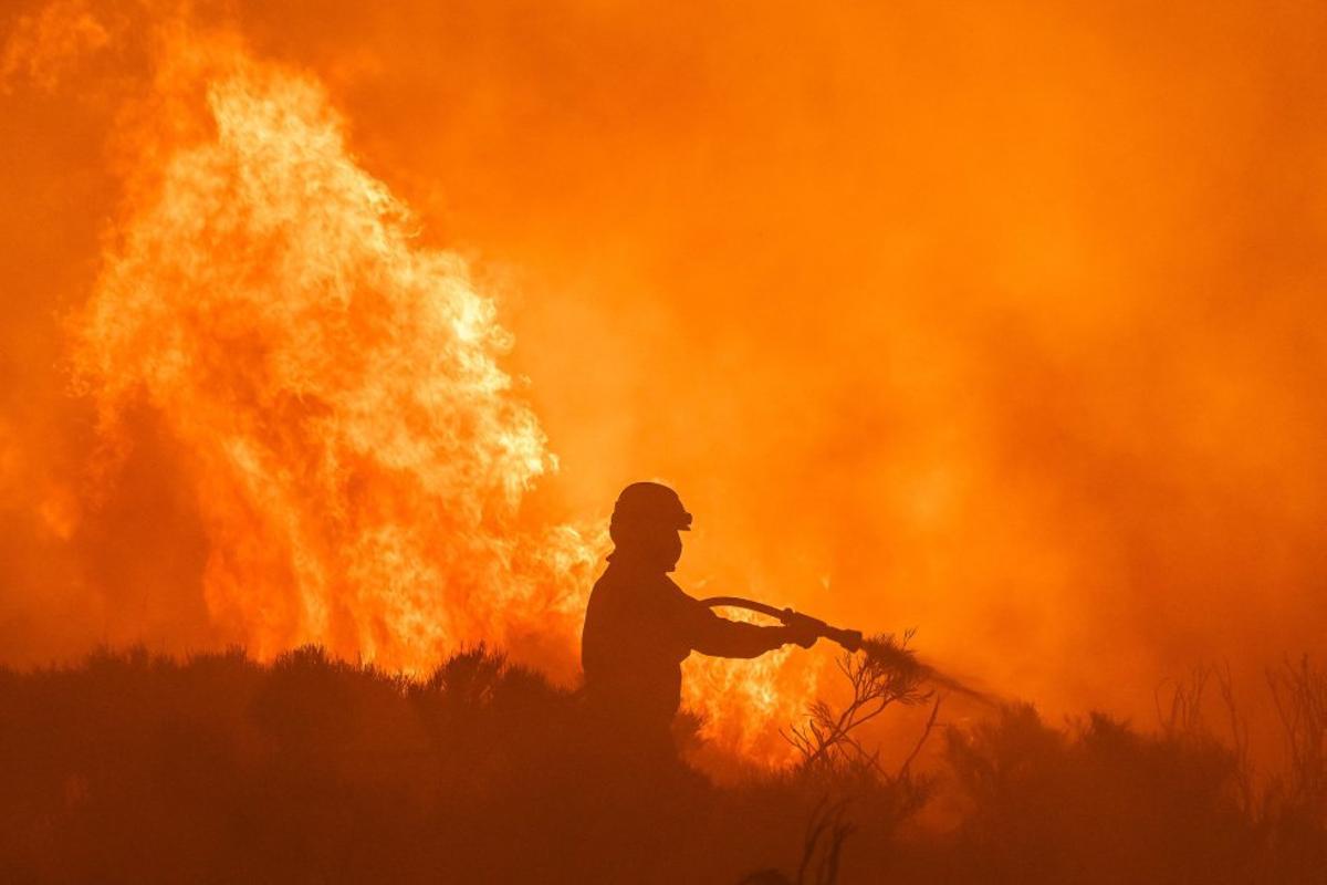 Incendio de Ávila: podría ser el cuarto más extenso de España desde 1961