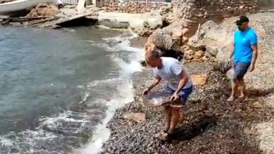 Imagen del momento en el que liberan a la tortuga Mercury en Ibiza.