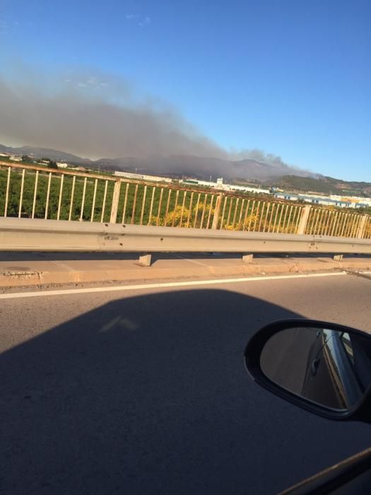 Incendio forestal en Benifairó de les Valls.