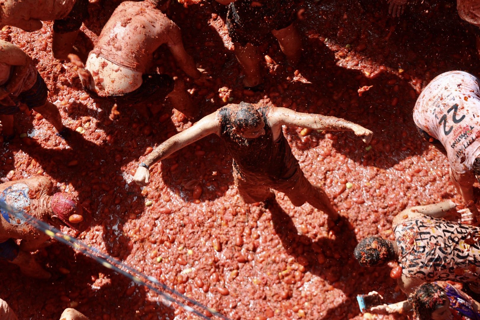 Fallas y Hogueras se empapan de Tomatina