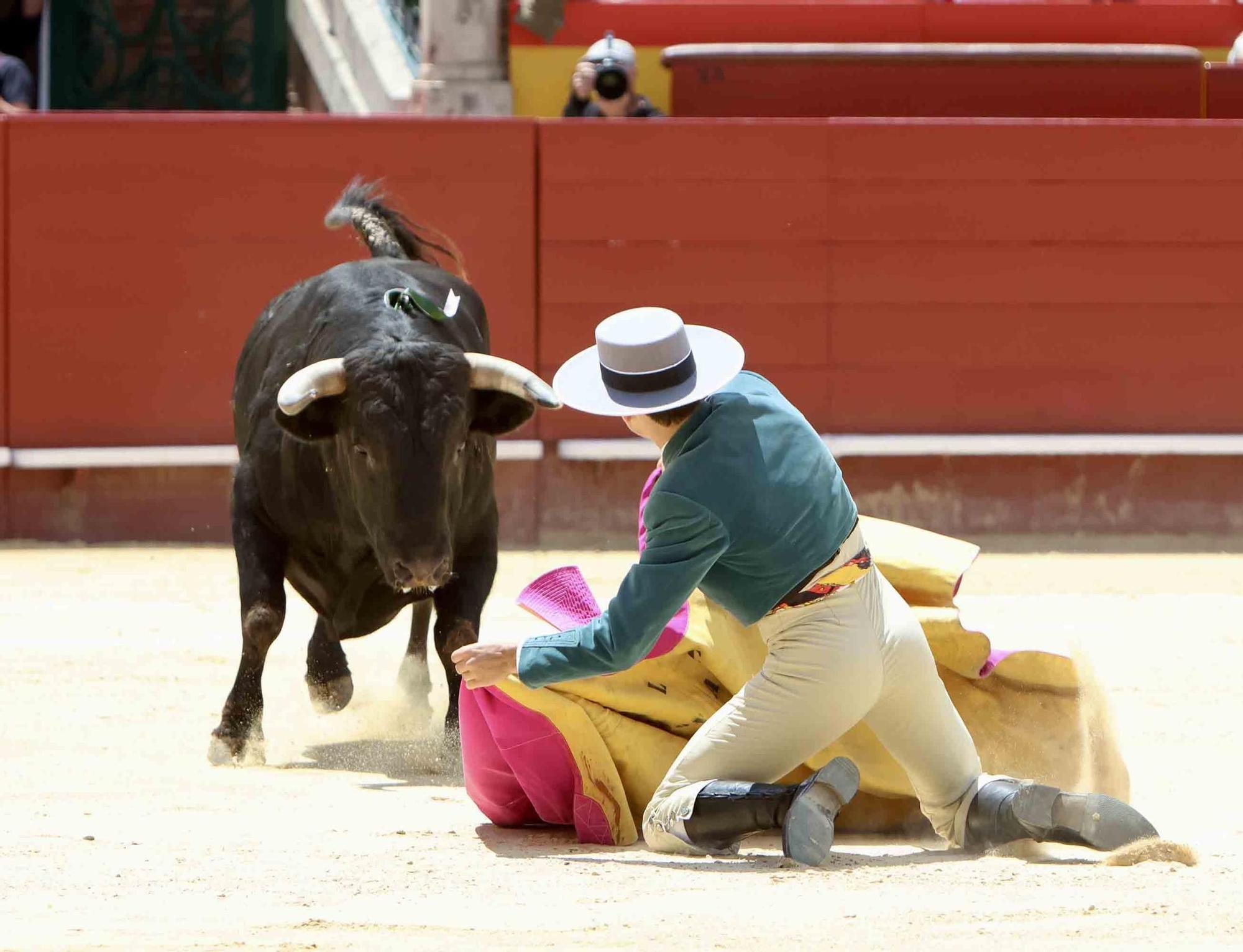 Valencia vive un fin de semana taurino alicantino