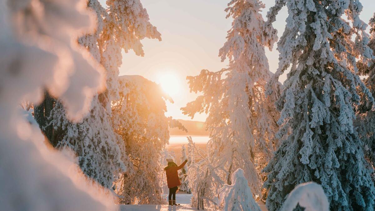 Descubre Laponia en Invierno