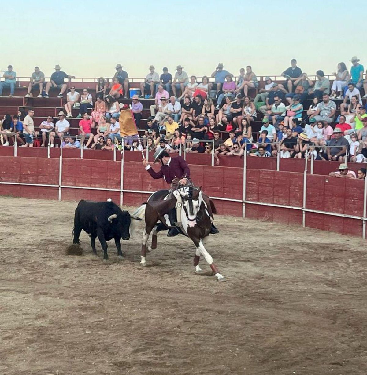 Faena de quilates en San Cristóbal