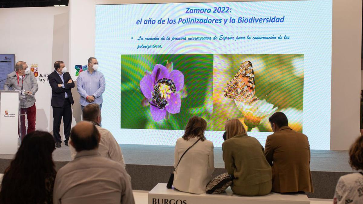 Presentación de “Zamora 2022: el año de los polinizadores y la biodiversidad”. |