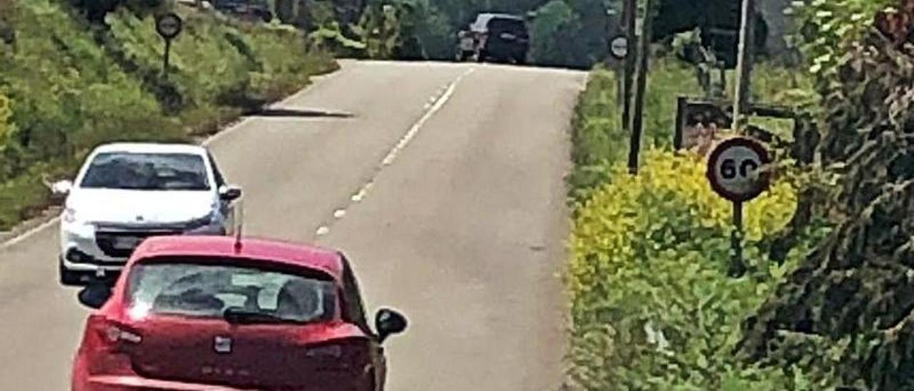 Maleza en la carretera AS-16 Soto-Pravia, en Llago; al fondo a la derecha, una señal y una marquesina “tragadas” por las hierbas. | M. Riera