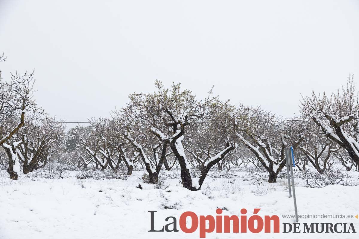 Continúa la nevada en las zonas altas de la comarca del Noroeste