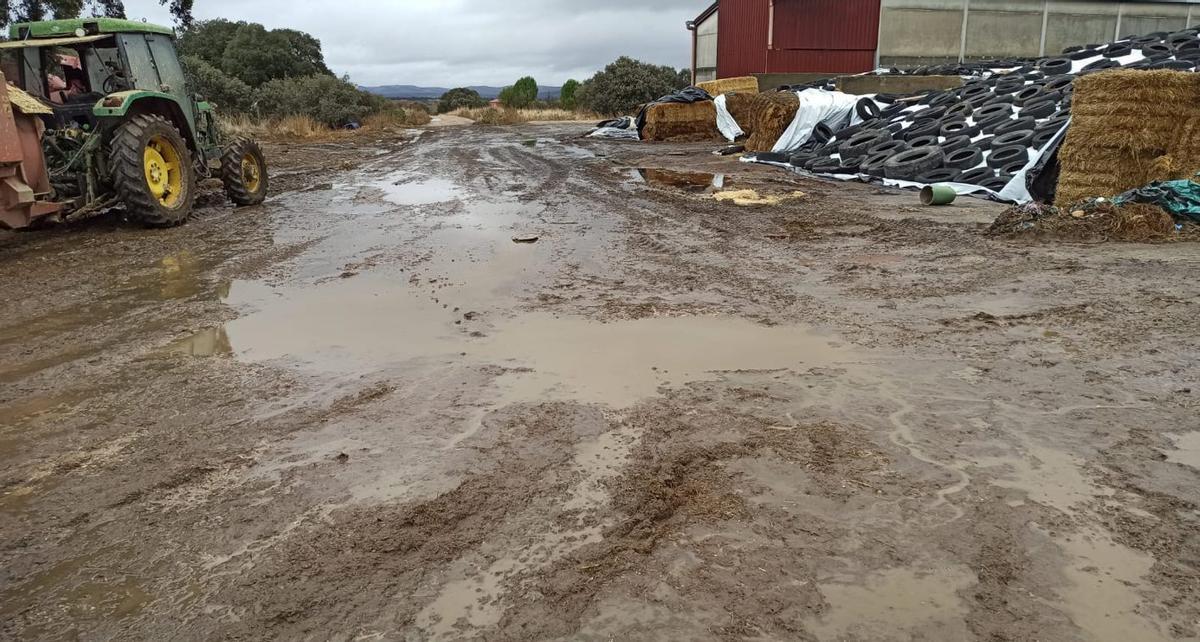 Uno de los caminos que está intransitable, según explican. | CEDIDA