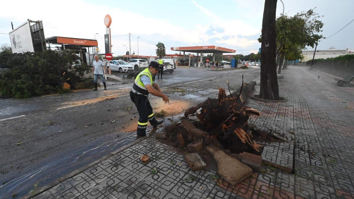 Consecuencias del temporal en Castellón