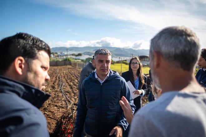 El consejero de Agricultura, Ganadería, Pesca y Soberanía Alimentaria del Gobierno de Canarias, Narvay Quintero, visita una finca en Los Baldíos, donde el Ejecutivo canario, en colaboración con viticultores de las Denominaciones de Origen Protegidas de Vino de las islas, desarrolla un proyecto piloto con patrones americanos de viña para evaluar su resistencia a la filoxera