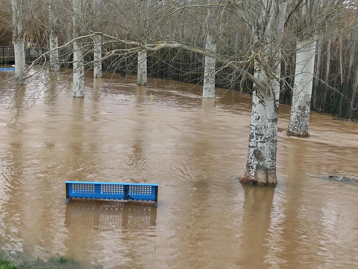 GALERÍA / El río Órbigo desbordado en Benavente, en imágenes GALERÍA / El río Órbigo desbordado en Benavente, en imágenes
