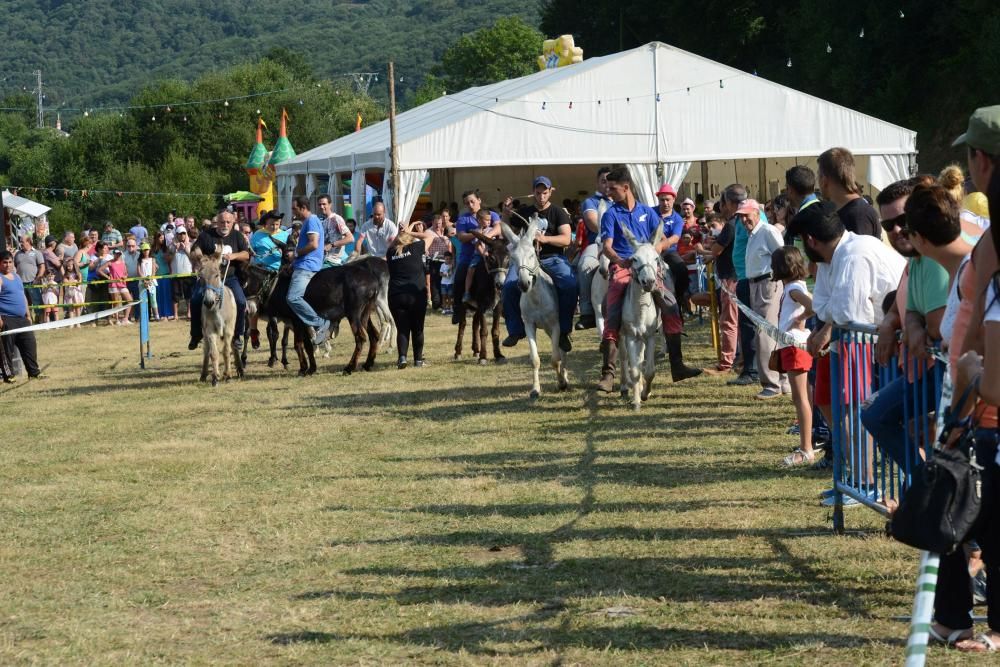 "Burrocross" en las fiestas de San Tirso