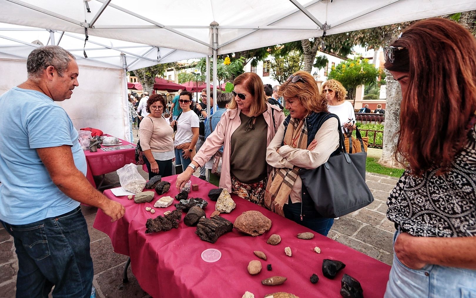 XIX Feria de la Ciencia de La Orotava