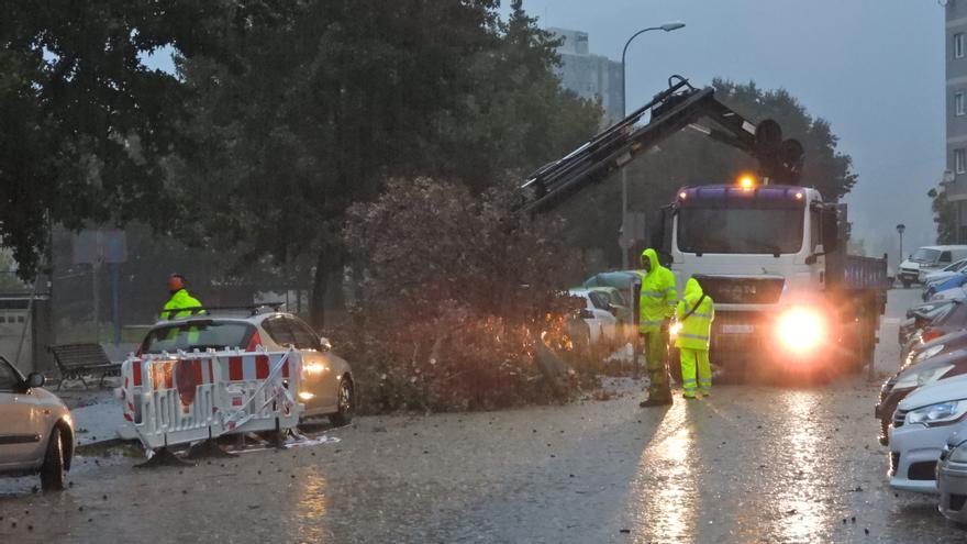 De la sequía a las incidencias por el temporal: cortes de luz, árboles caídos, inundaciones, accidentes...