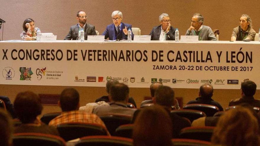 Juan José Badiola durante la primera jornada del Congreso regional celebrado en Santa Elena.