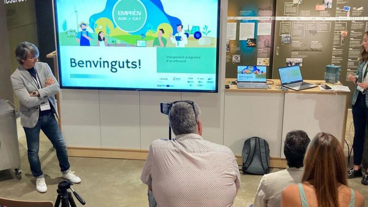 Presentació del programa d’acceleració de ‘start-ups’ d’Afrucat. | AFRUCAT