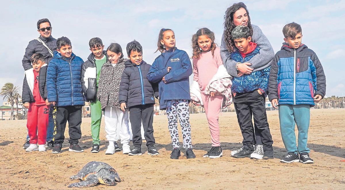 Alumnat del Col·legi Santiago Apòstol del Cabanyal durant la solta d’una tortuga recuperada