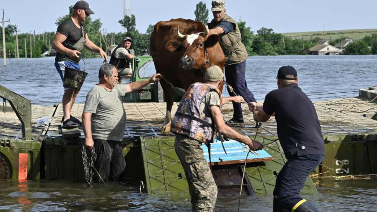 Los voluntarios entregan alimentos a los residentes locales en un área inundada, en medio del ataque de Rusia a Ucrania, en Kherson