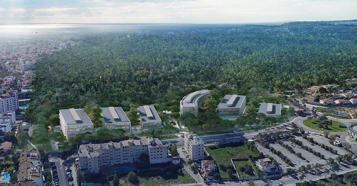 Las fotos del proyecto del nuevo Son Dureta