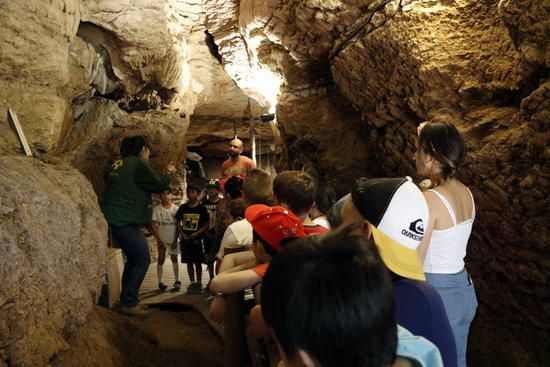 Escolars a les Coves del Toll de Moià